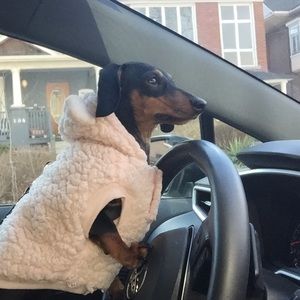 Meet your Posher, Mckenzie